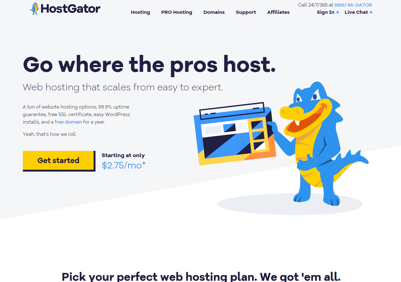 Hostgator Review 2021: Is This hosting performs really well?